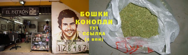 PSILOCYBIN Няндома