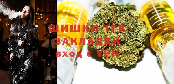 ПСИЛОЦИБИНОВЫЕ ГРИБЫ Осинники