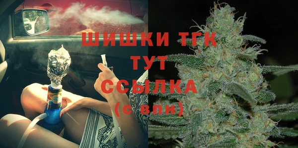ПСИЛОЦИБИНОВЫЕ ГРИБЫ Осинники