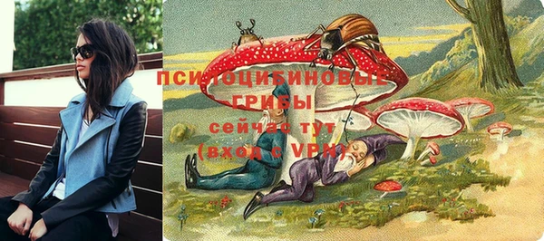 ПСИЛОЦИБИНОВЫЕ ГРИБЫ Осинники