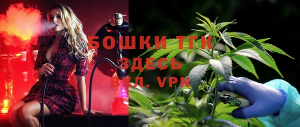 ПСИЛОЦИБИНОВЫЕ ГРИБЫ Осинники