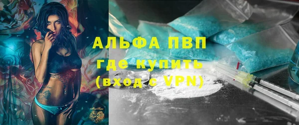 ПСИЛОЦИБИНОВЫЕ ГРИБЫ Осинники