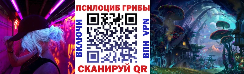 Псилоцибиновые грибы мицелий hydra ССЫЛКА Камбарка купить наркоту